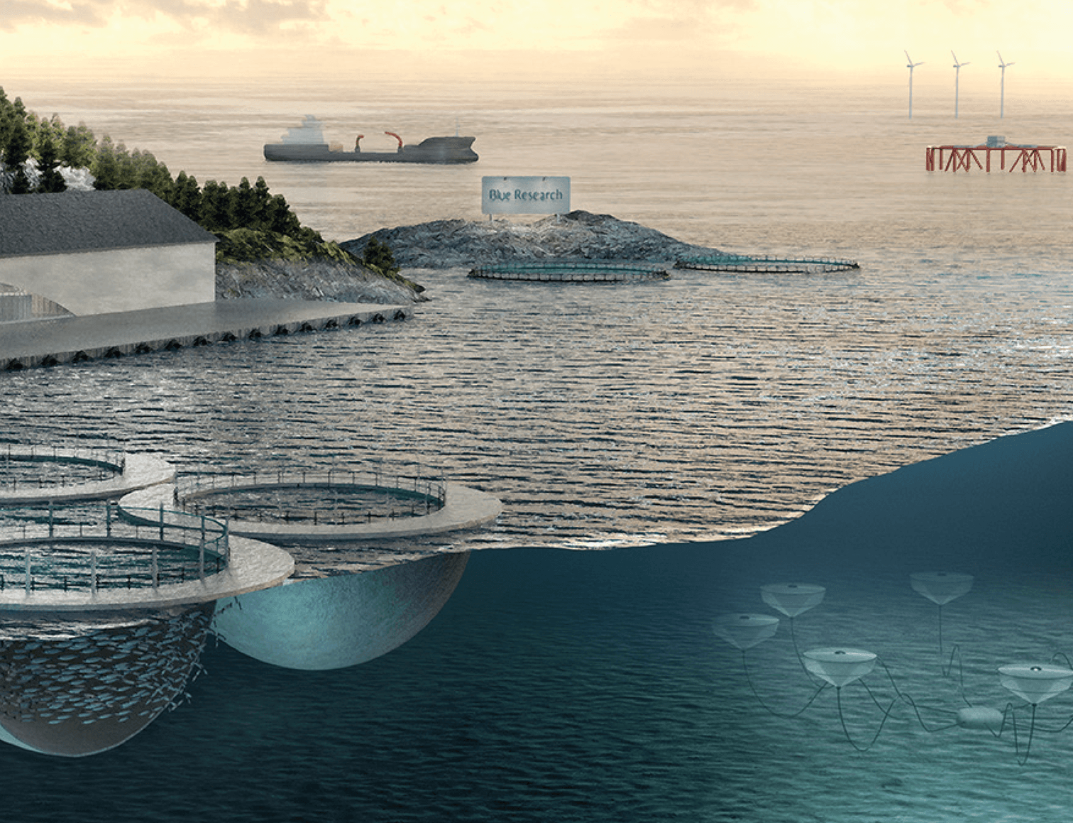 Picture of Havbruk til havs – startskuddet går snart