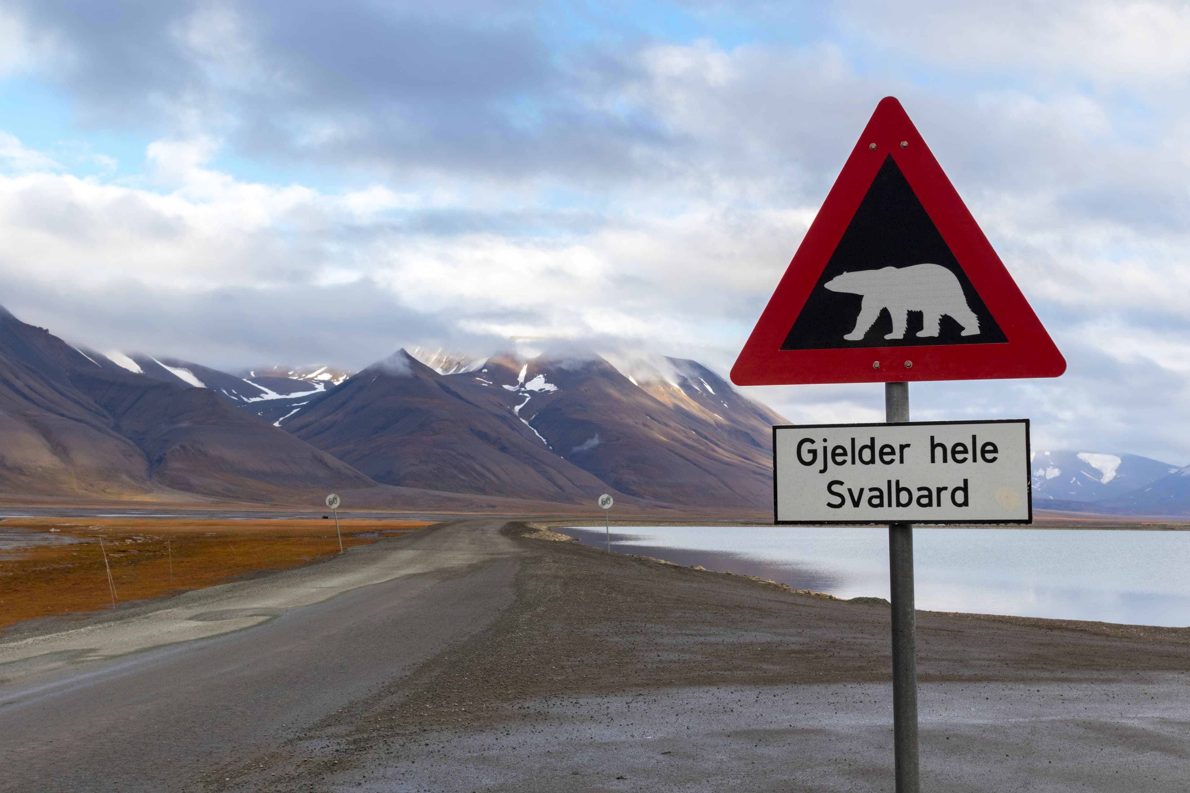 Picture of Svalbard - hva nå?