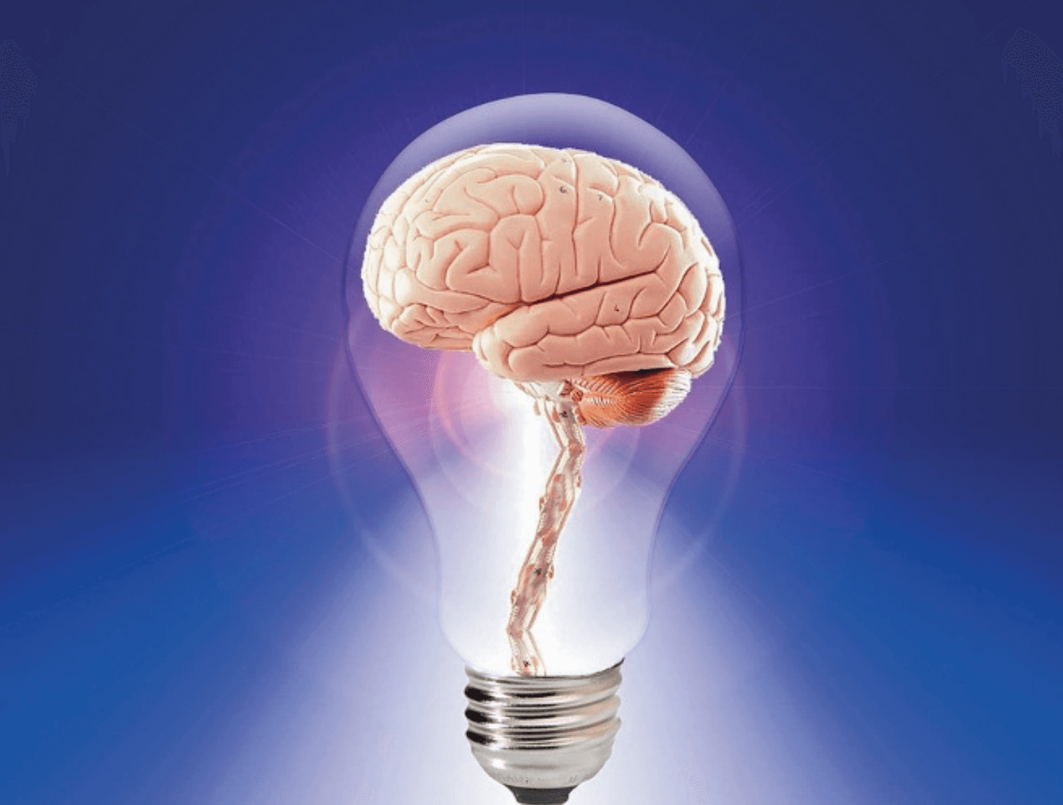 Picture of Kapittel 22: Digitale læringsarenaer