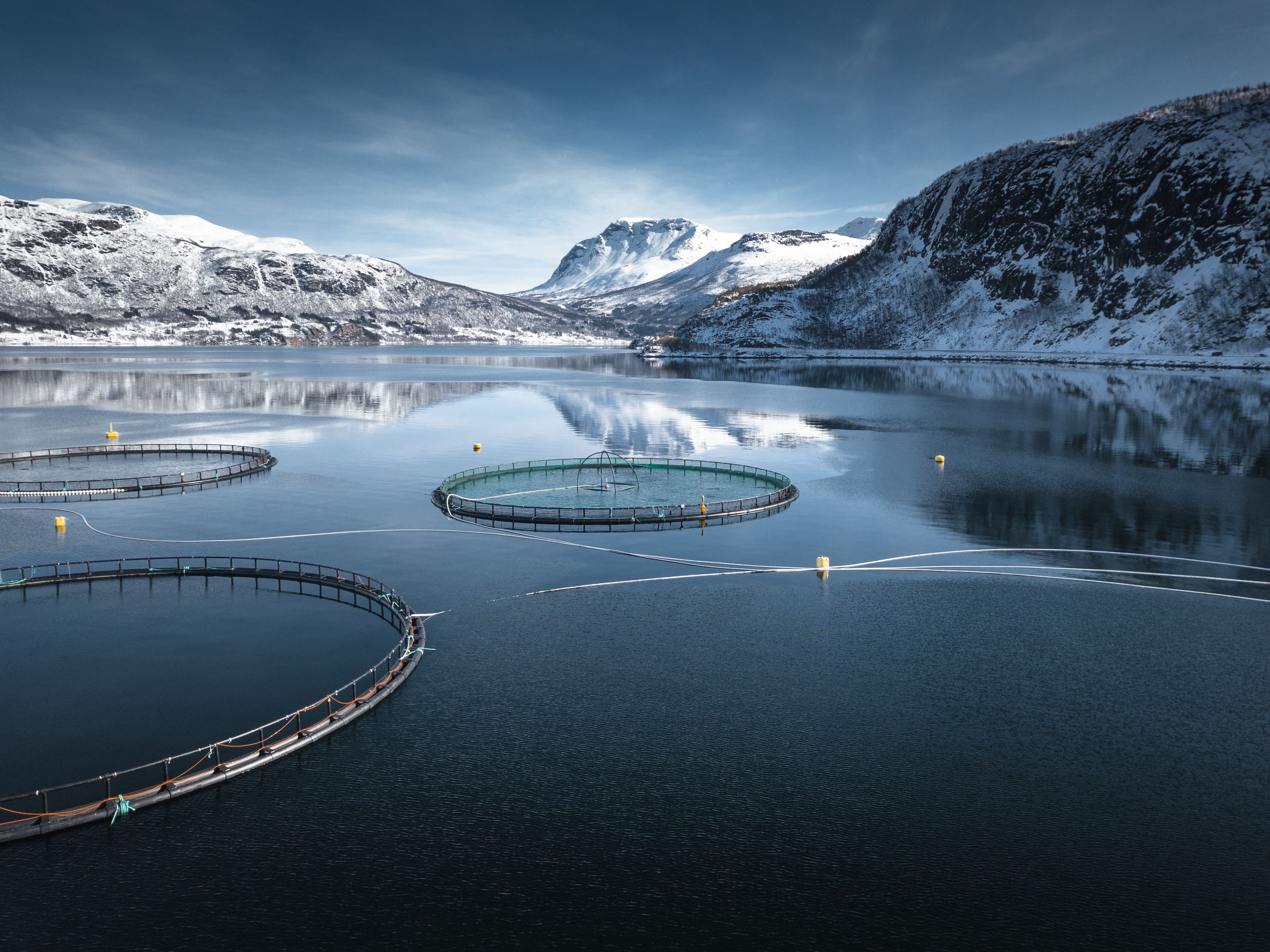 Perspektivanalyse for biobaserte havnæringer mot 2070