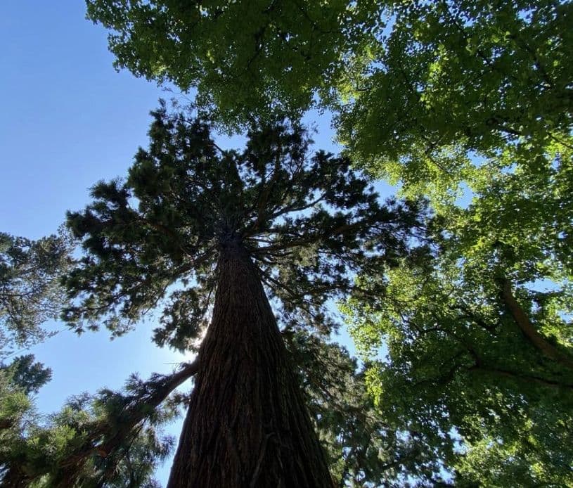 Picture of Revisiting industrial ecology and environmental ethics