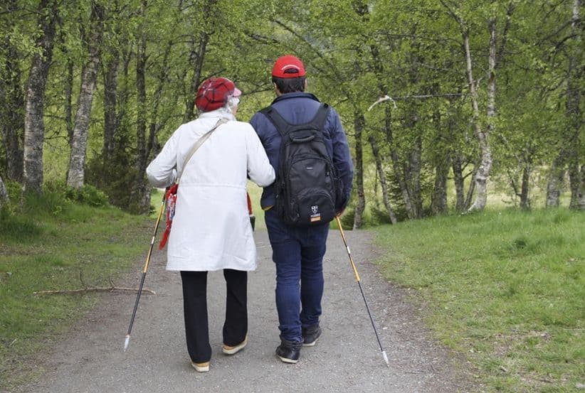 Picture of Blomstring, på tvers av strukturer