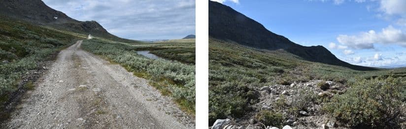 Picture of Tretti år med naturrestaurering i Norge – fra enkle forsøksfelt til verdens restaureringstiår