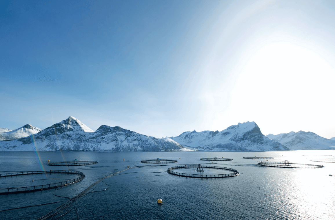 Picture of Food from the Ocean – Norway’s Opportunities