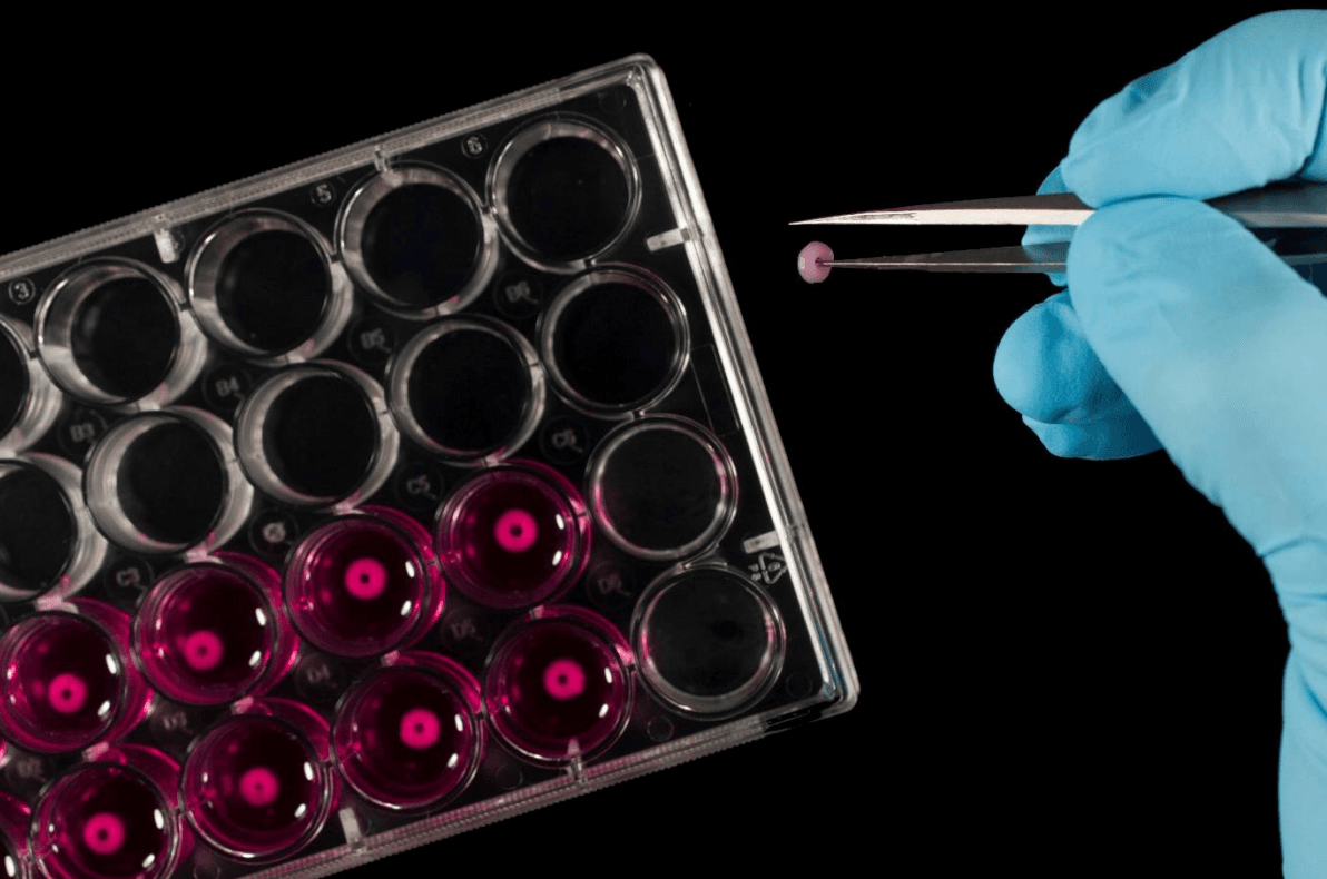 Picture of Kapittel 18: Den nye maten dyrkes i laboratoriet