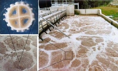 Picture of Vannrensegruppa – erfaringer fra oppstart av en forskningsgruppe